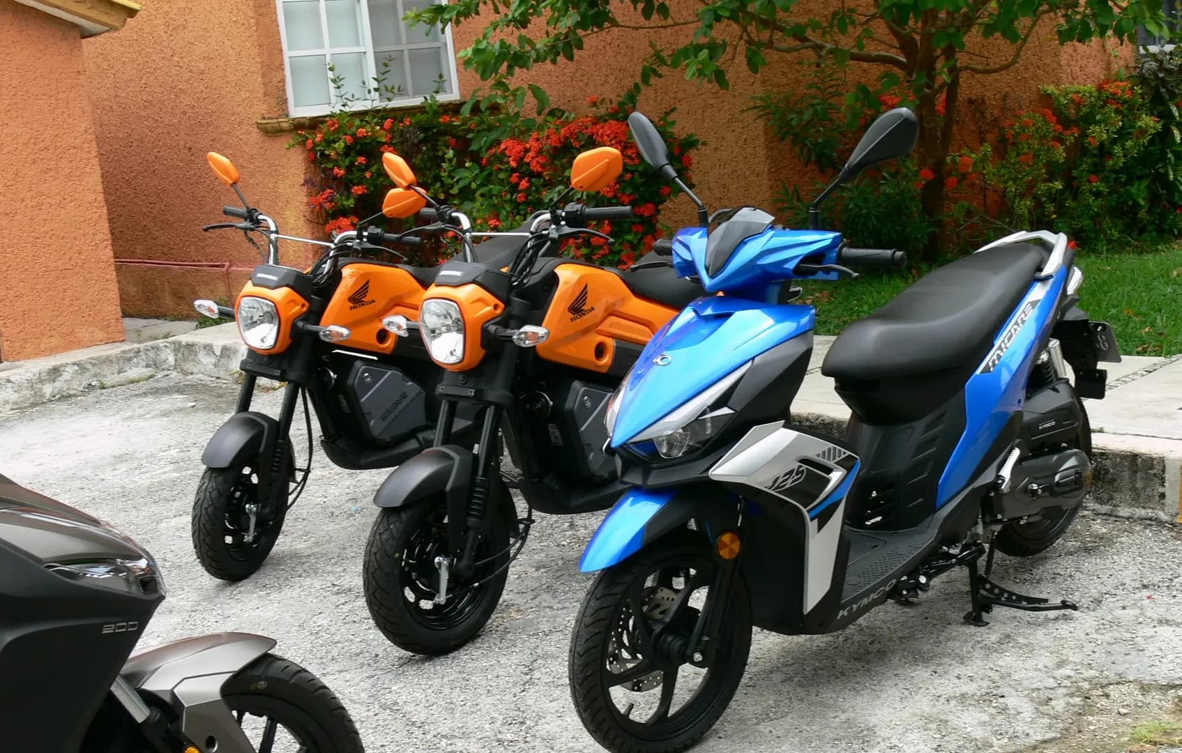 VibeScoot scooter fleet on the street